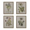 4-piece Botanical Illustration Framed Canvas Wall Art Set