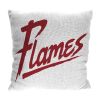 Liberty OFFICIAL NCAA "Invert" Woven Pillow; 20" x 20"