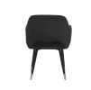 ACME Applewood Accent Chair, Black Velvet & Gold 59854